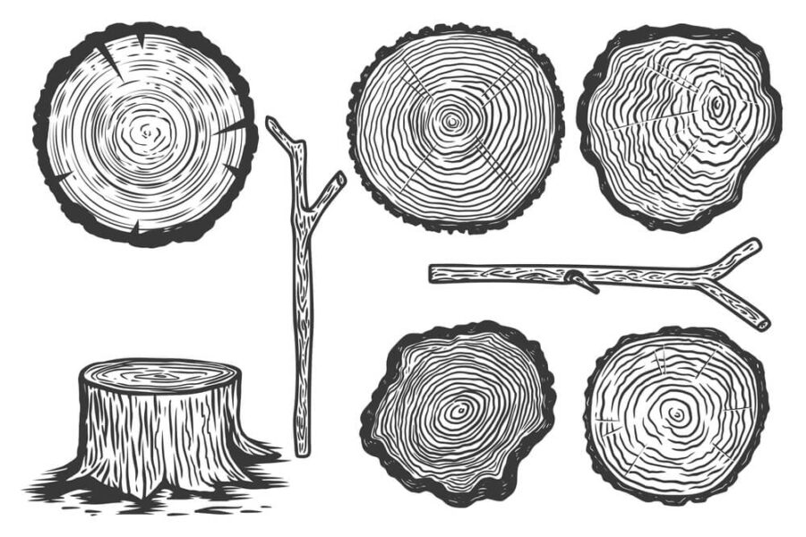 Types Of Wood & Their Effect On Expansion And Contraction