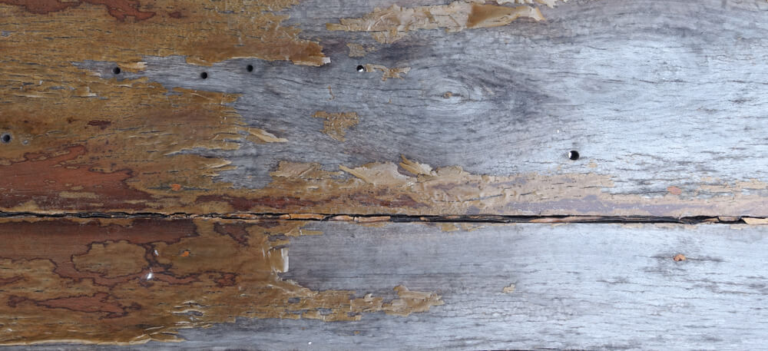 How To Clean Cracks In Hardwood Floors? Methods & Tips⚡️