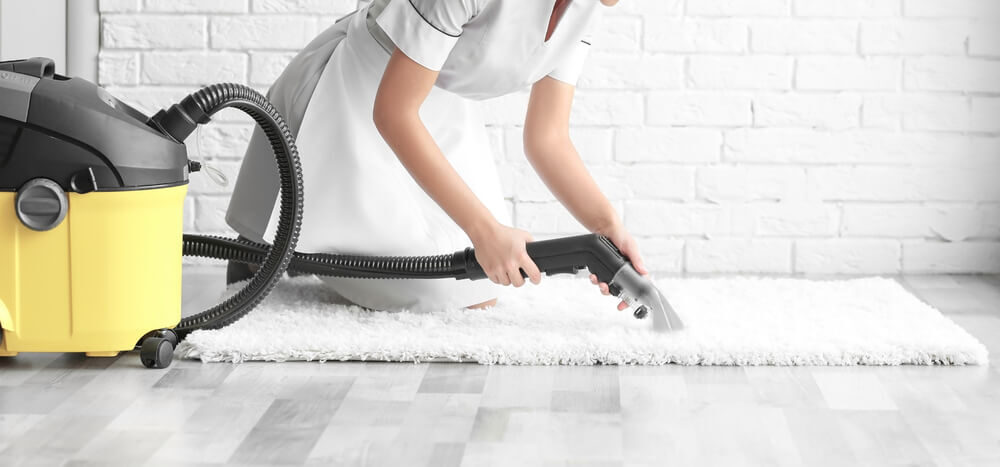 steam clean area rug on hardwood floors