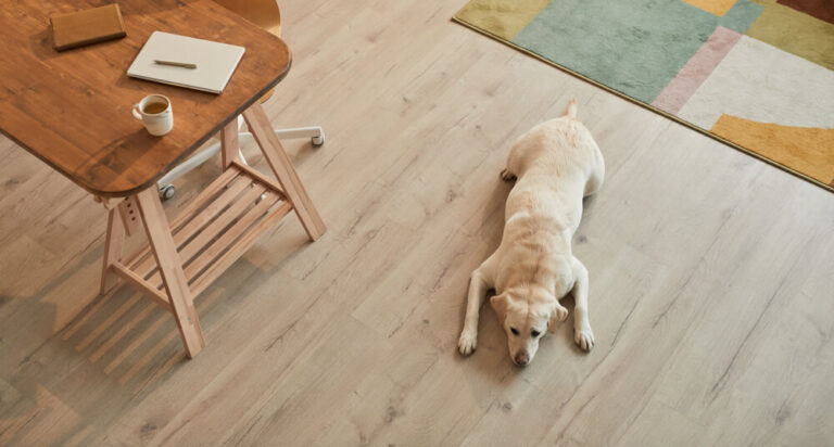 Do Dogs Ruin Hardwood Floors? The Answer May Surprise You