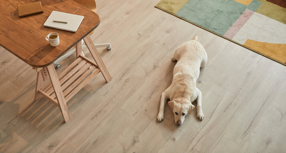 do dogs ruin hardwood floors