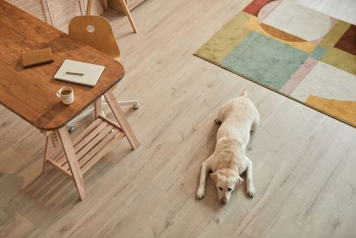 How Long Do Hardwood Floors Last? Unveil the Truth