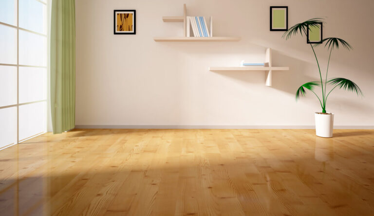 Do Hardwood Floors Fade in Sunlight? All You Need to Know☀️